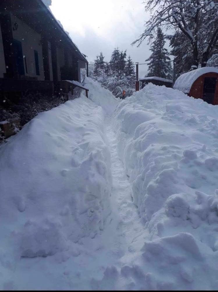 Rozpravkova Hajenka V Nizkych Tatrach Brezno Exterior foto